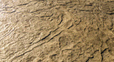 Hadley Creek Texture